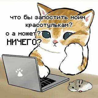 Что бы запостить моим красотулькам?
О а может это?