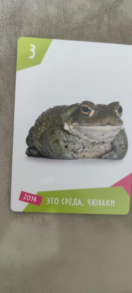 Мем от kpaM
