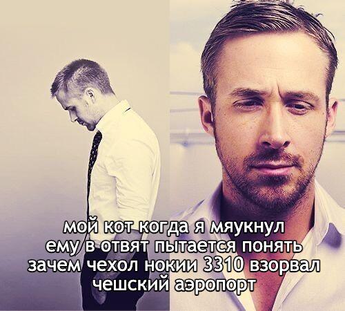 Мем от любитель котят