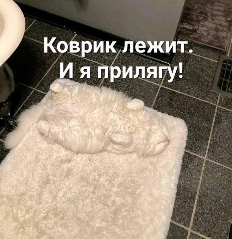 Мем от КотоУт