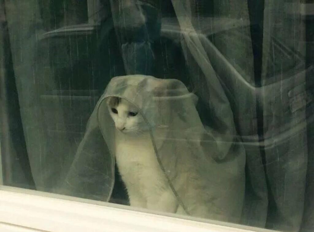 Это я жду пока мой мем проверят модеры: