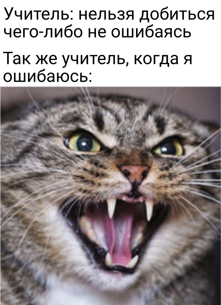 Что, если не жиза?