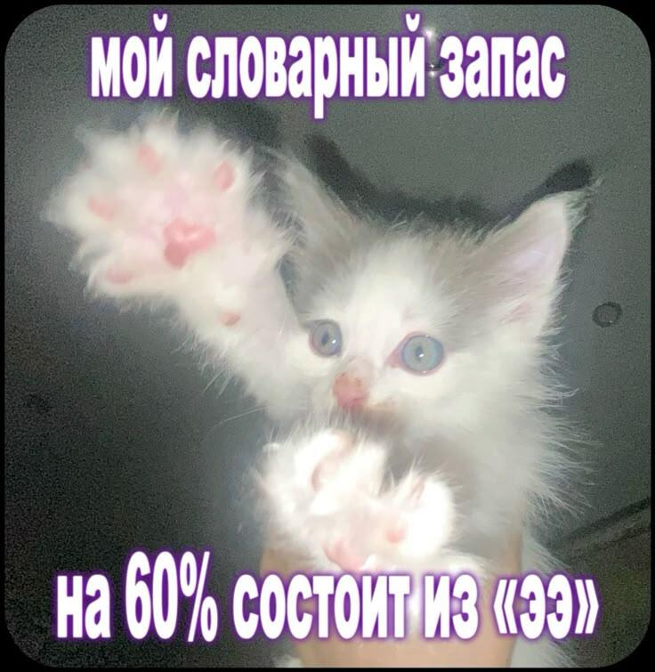 у всех у нас