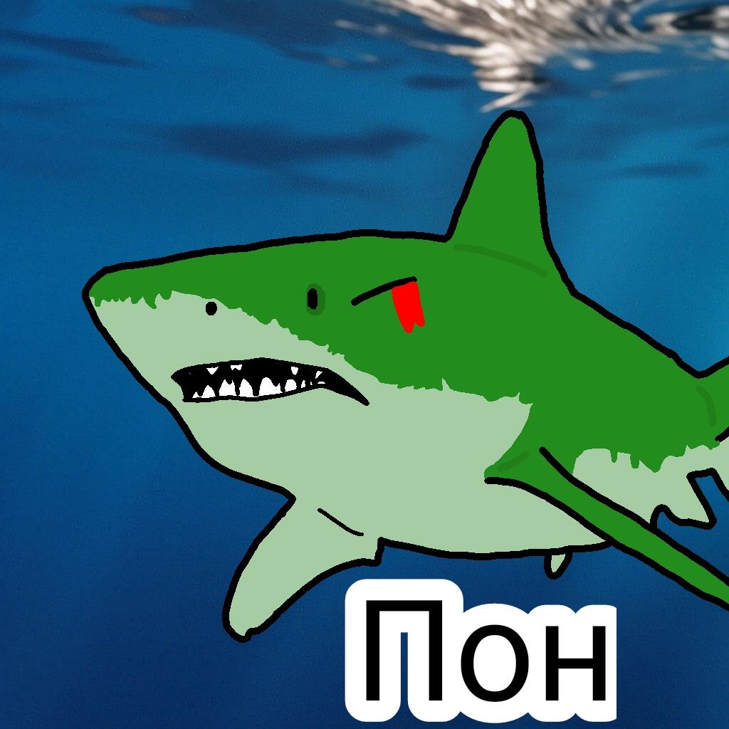 Пон
