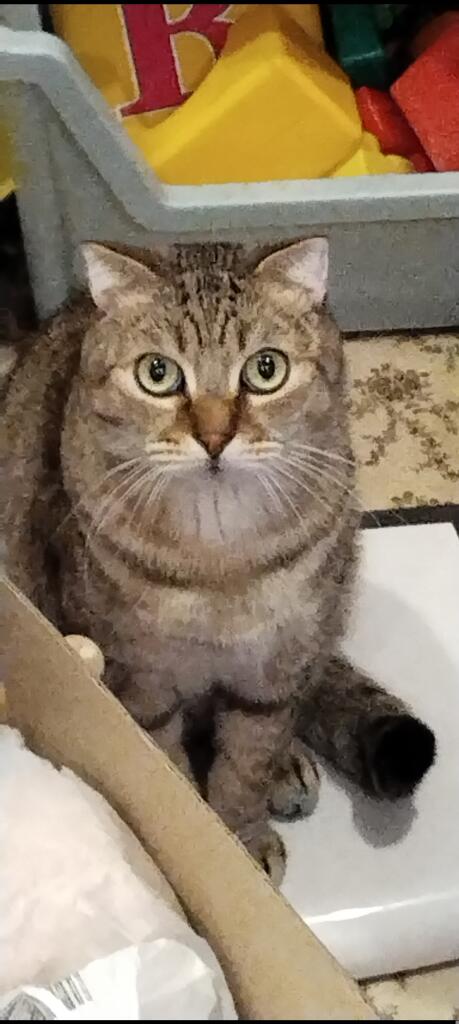 Huh?