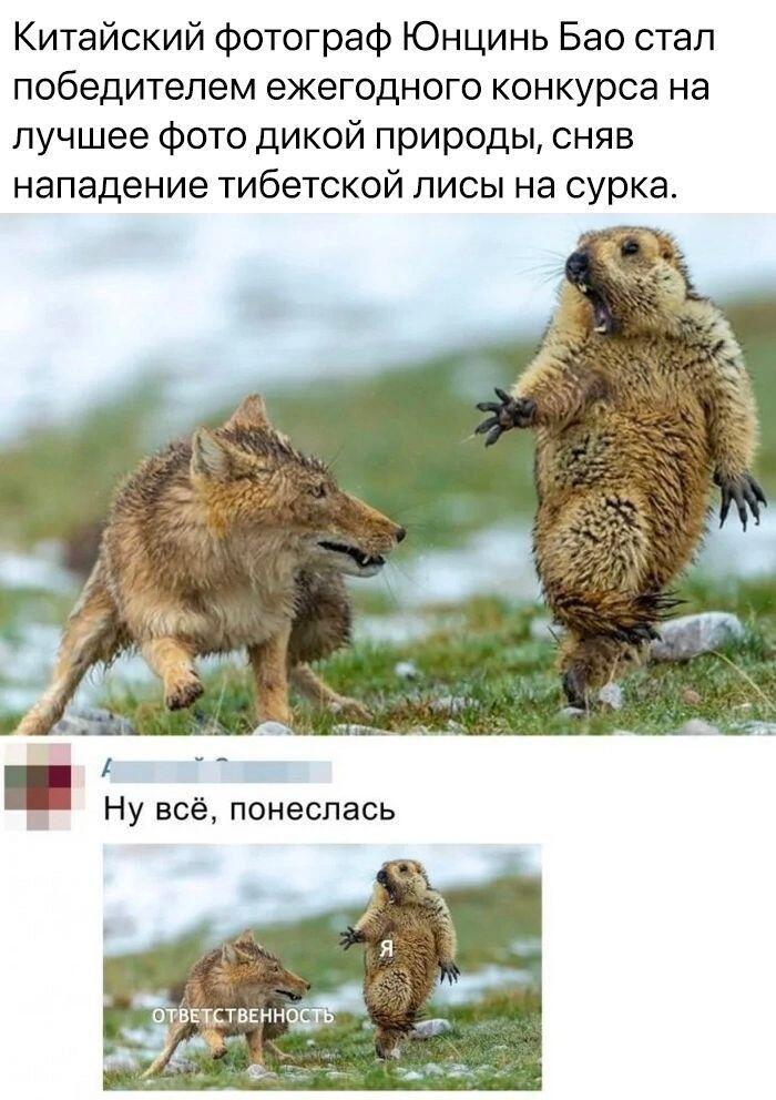 Думаю это будет хорошим испытание для вас, мои любители создавать юмор😼