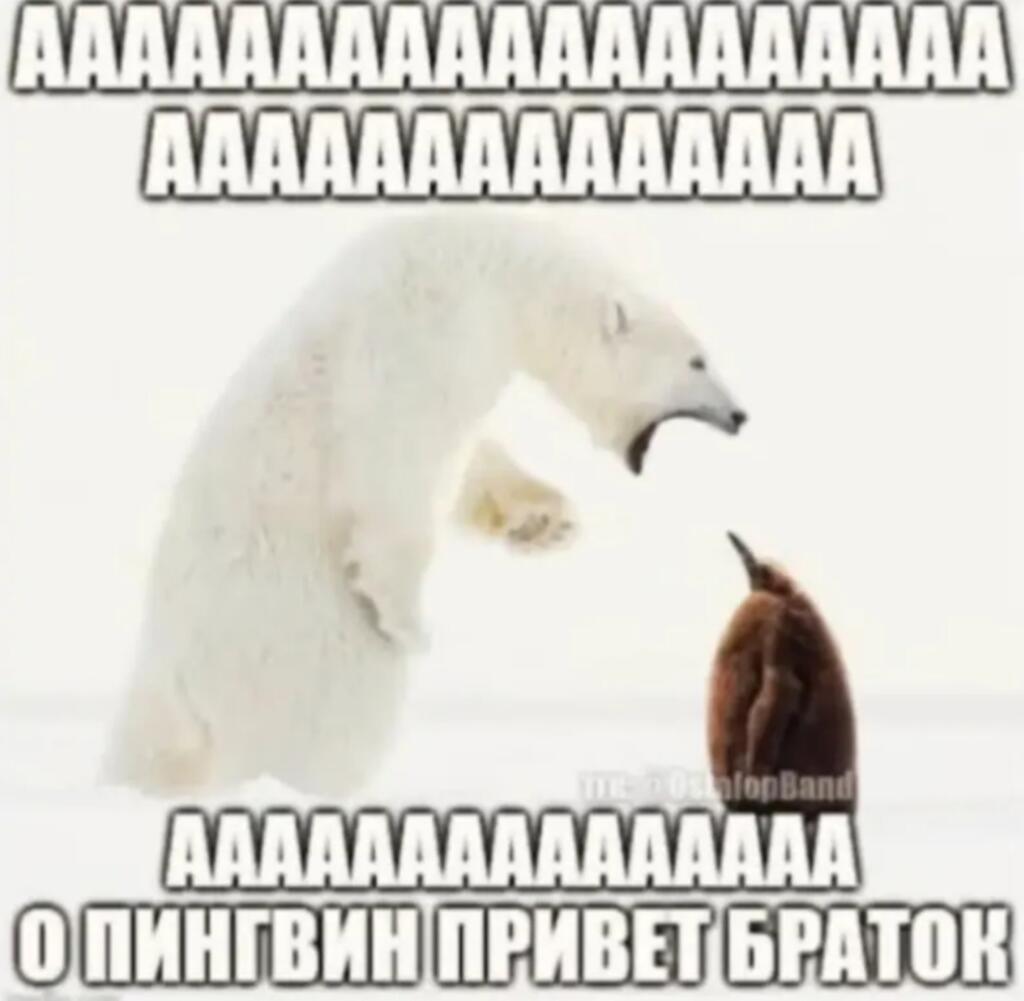 Мем от 🩶W1ndY[CHUP]🖤🍉