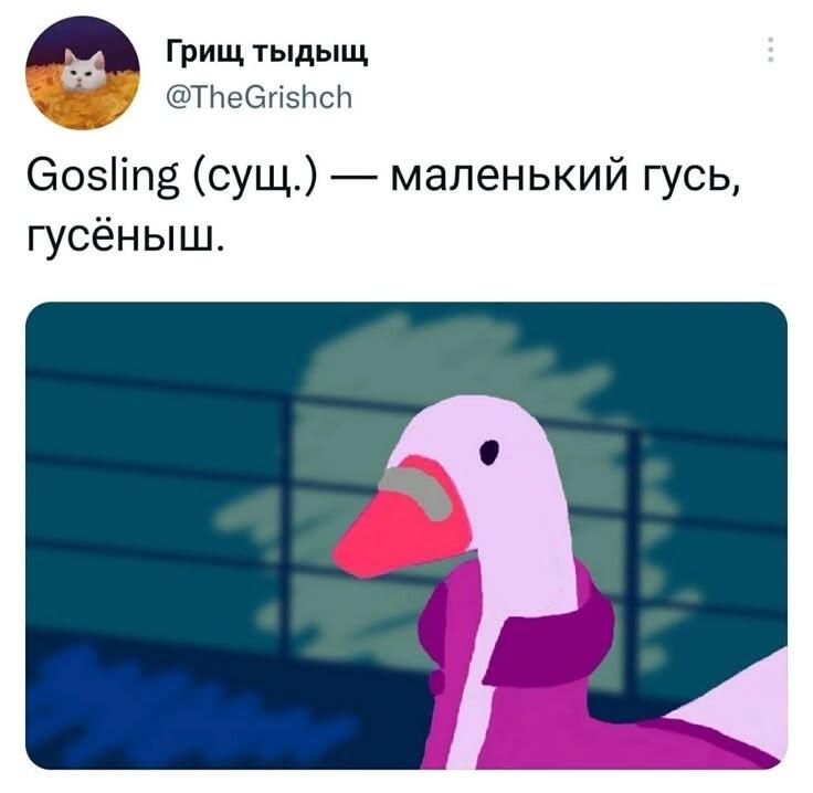 Мем от Империя кактусов[ПЛМ]