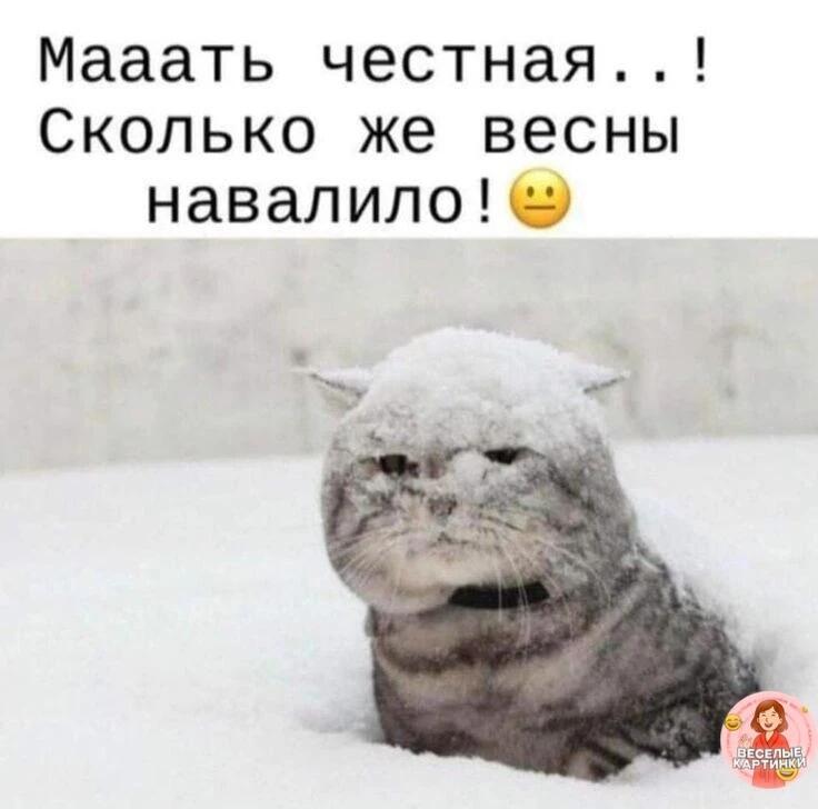 Мем от ГУП "НМТ"