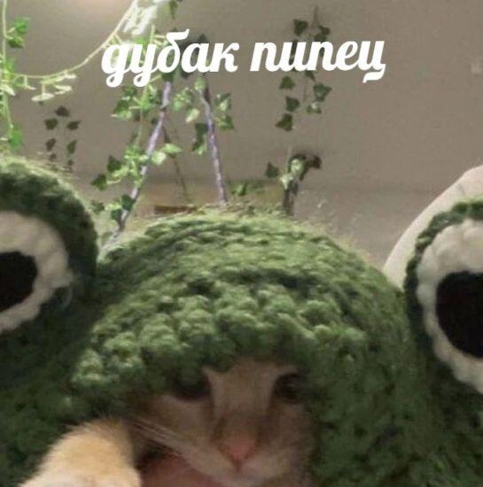 (\_/)
( •.•)
/>https://t.me/+_i1cQVH0lmxhNjZi
тг группа культта кофе