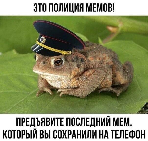 Это срюда поцыки