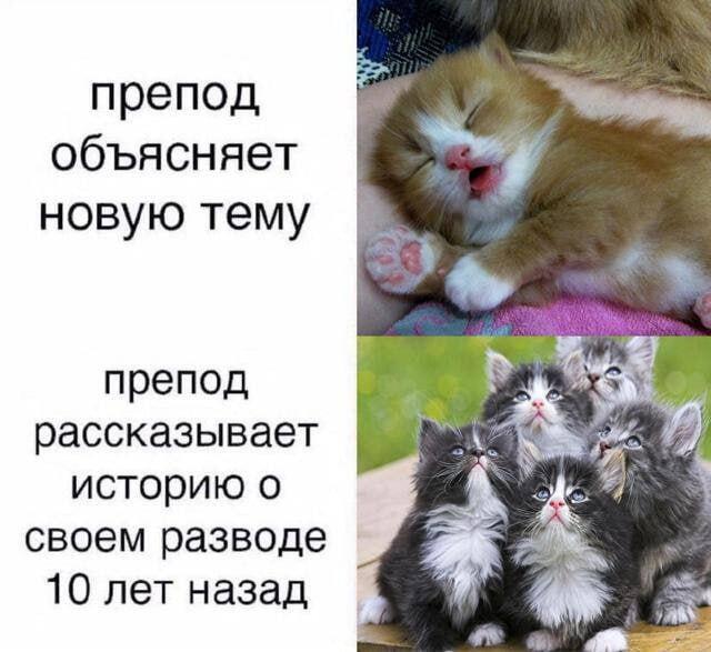 Жизп
