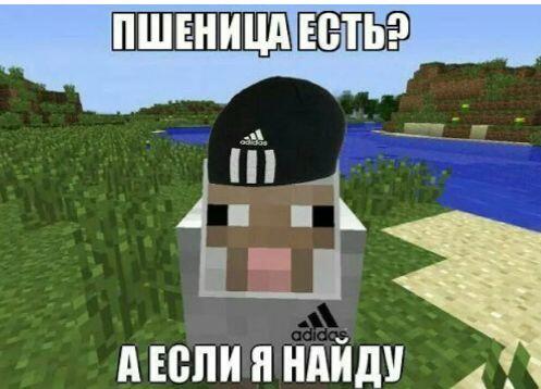 Мемы Майнкрафт