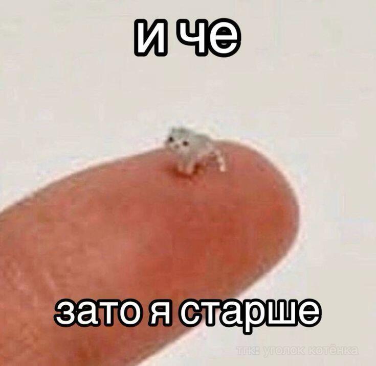 Тот самый друг который старше тебя но при этом ниже