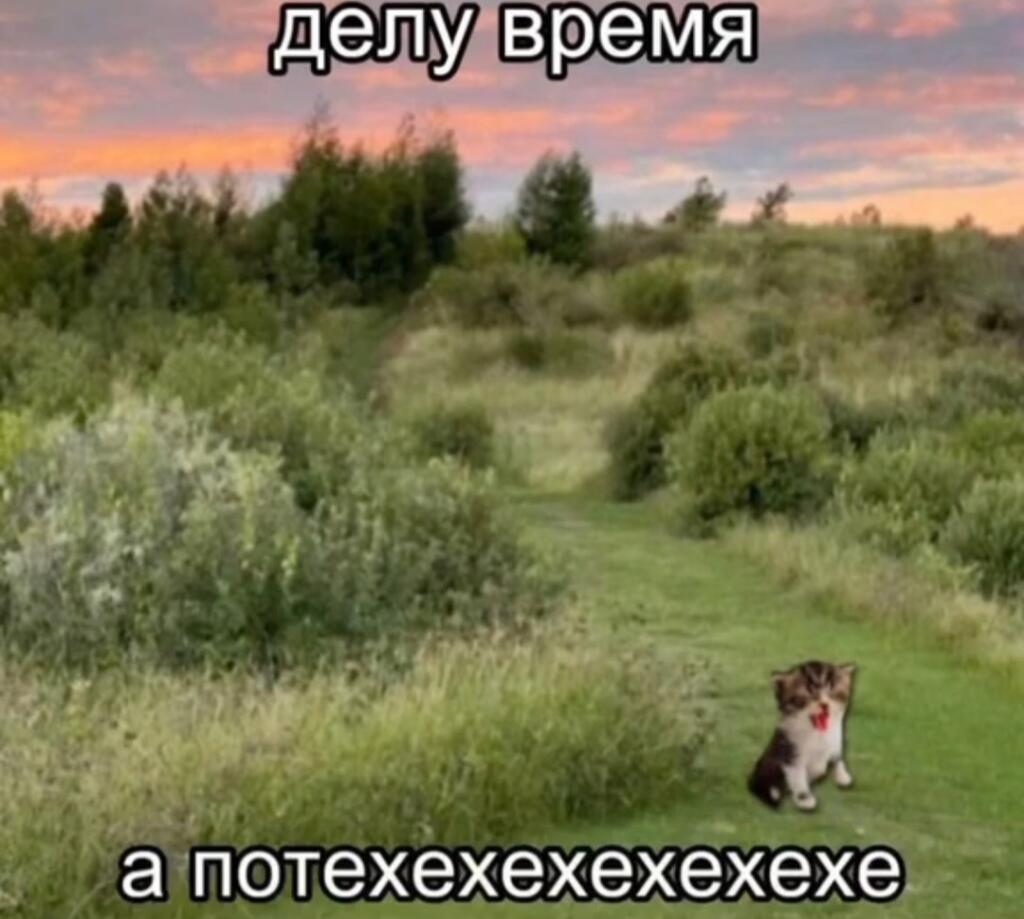 С озвучкой ещё смешней (она у меня в тт но я его вам не дам 😁)