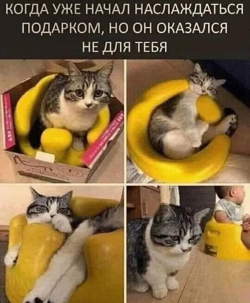 Мем от ГУП "НМТ"