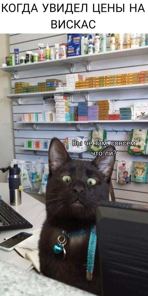 Мем от Коржик