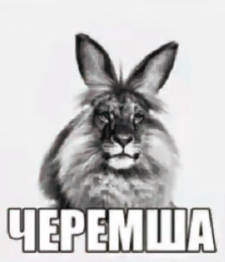 Спустя столько времени я наконец  вернулся на мемозг. Спасибо всем тем кто привил мне любовь к этому сайту.Особое спасиб