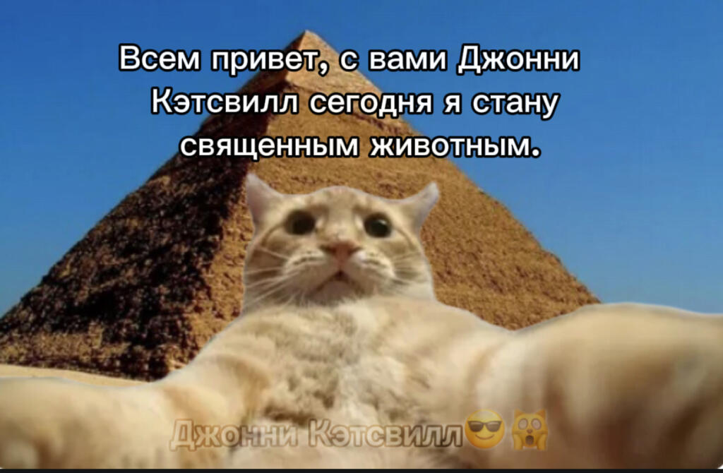 Джонни Кэтсвилл