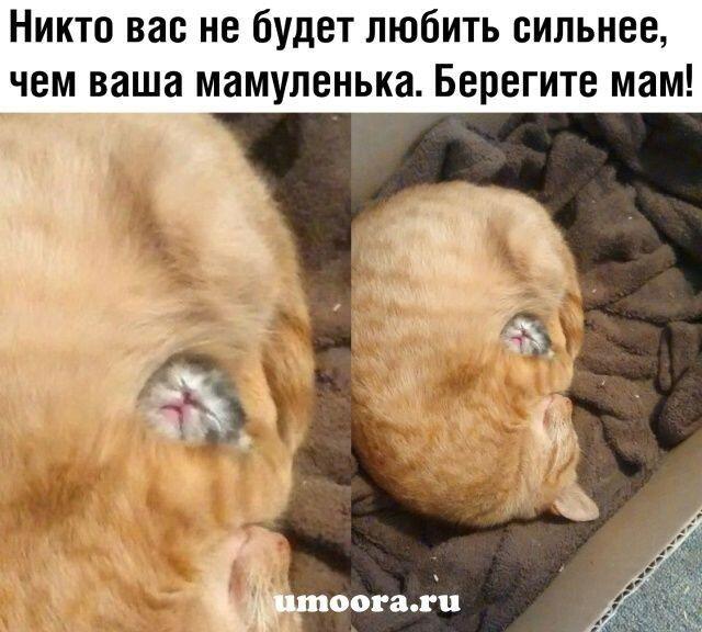 Мама😘