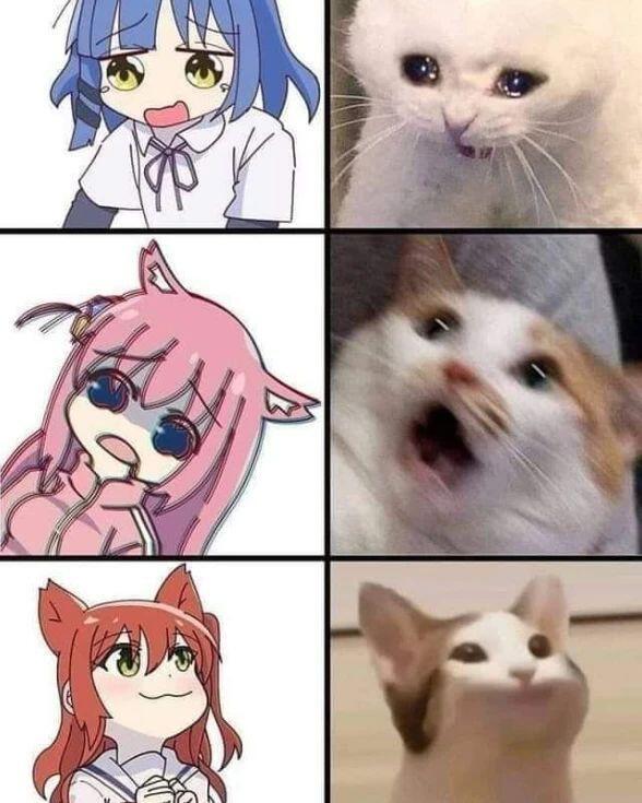 Я нашёл шаблон для мемов. И да, теперь bocchi the Rock это моё любимое аниме