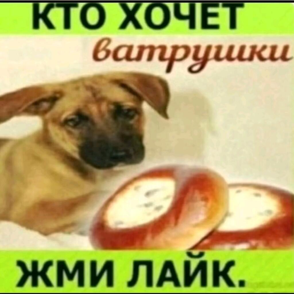 Это не байт на лайки...
... хочу ватрушку😭