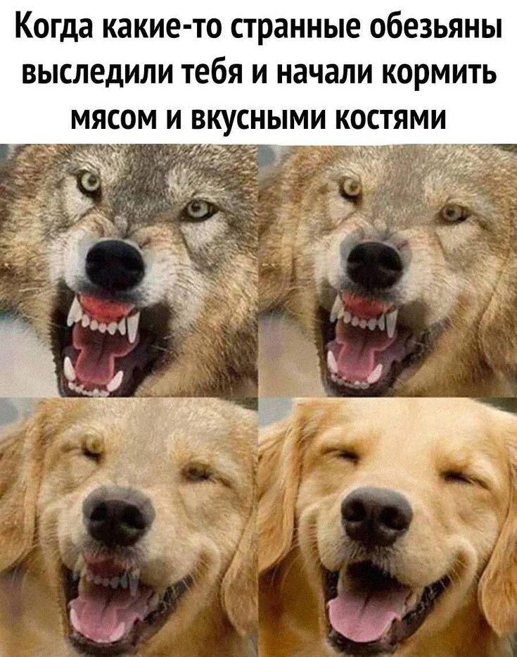 Мем от .