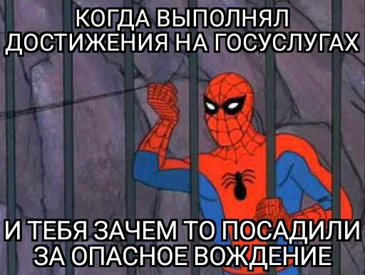На госуслугах добавили 12 достижений , для пол которых должны быть выполнены некоторые условия. Одно из достижений "Учу 