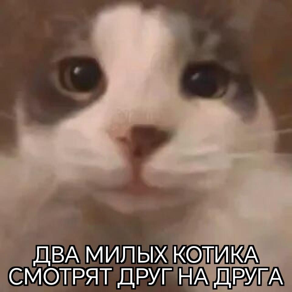 Мем от Батя