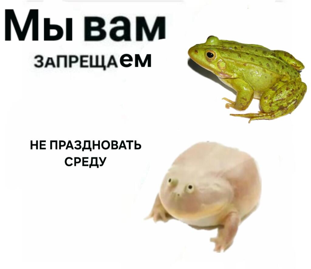 Мем от ГУП "НМТ"