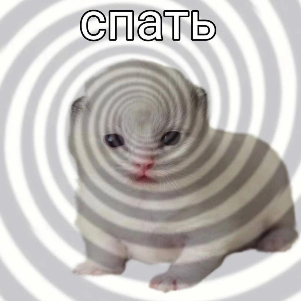 Спать спать спать спать спать спать спать спать спать спать спать спать спать спать спать спать спать спать