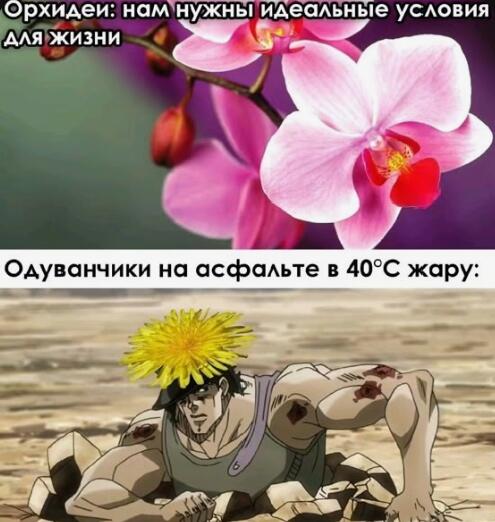 Представьте тогда что творит подорожник