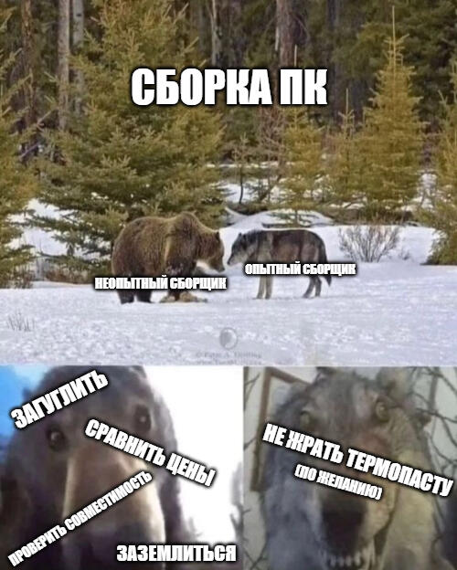 Мем от Мемореро Кошареро Вига