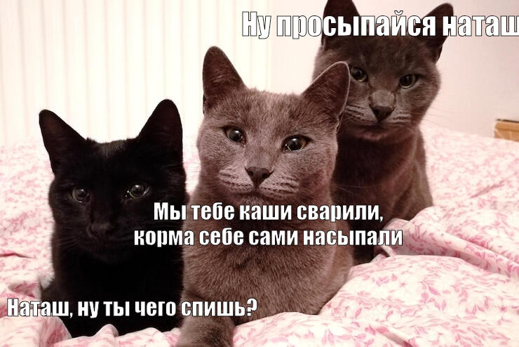 Чё-то попробовал, чё-то получилось. Держите