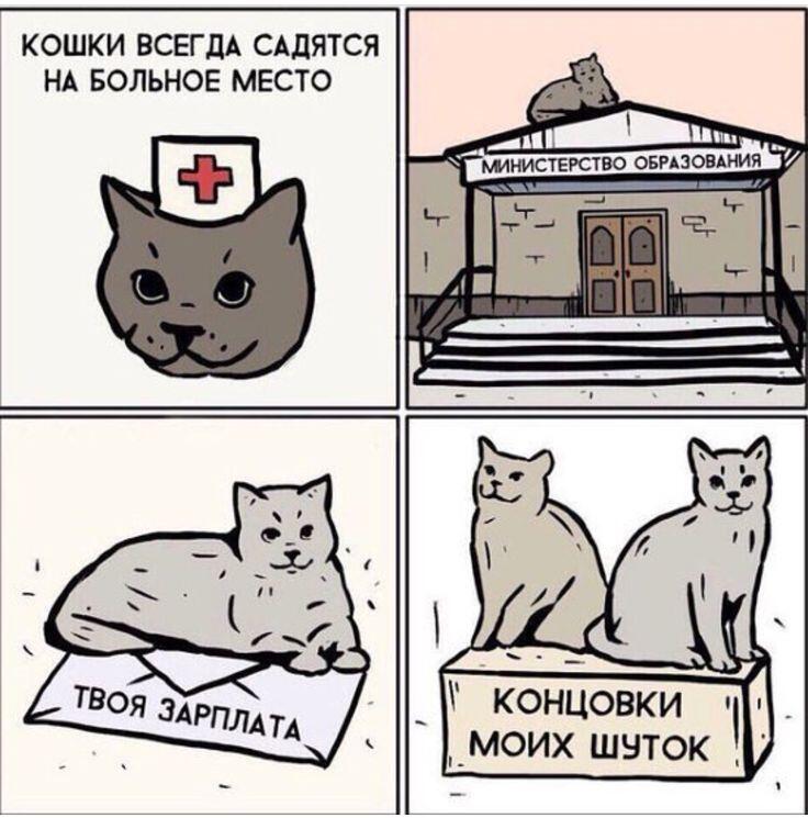 Мем от Михей