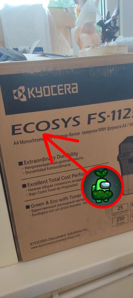 Eco sus
