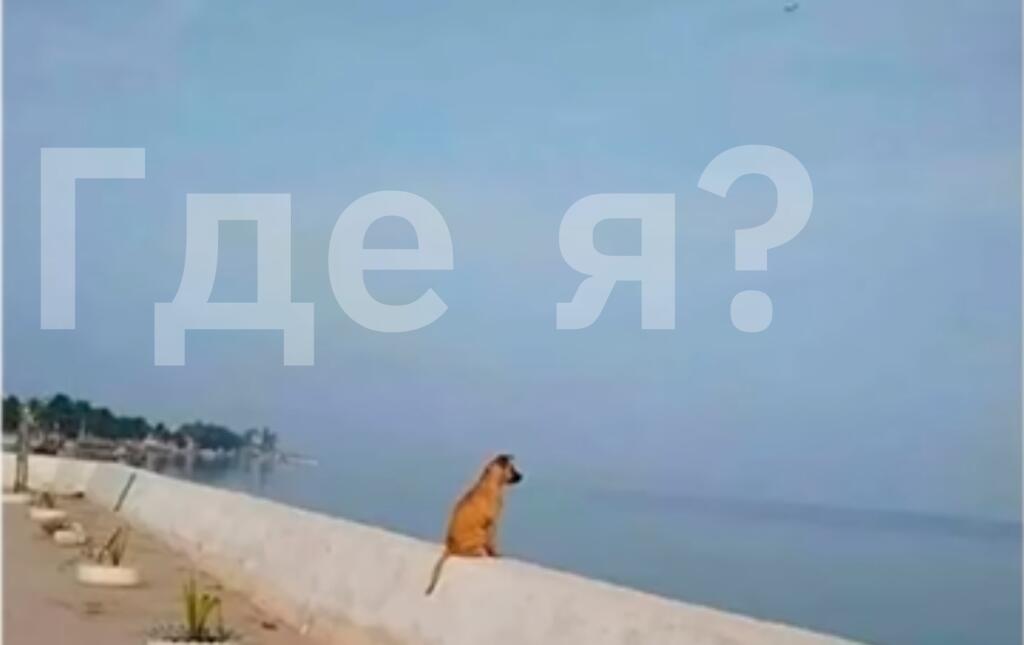 100% я на другой 
Улице,
Городе,
В СТРАНЕ БЛИНСКИЙ БЛИН!