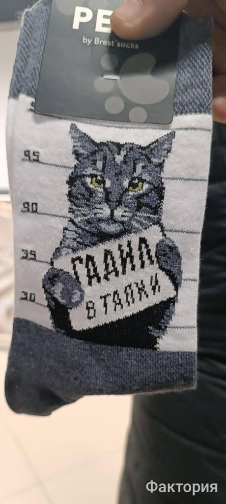 Гадил в тапки?