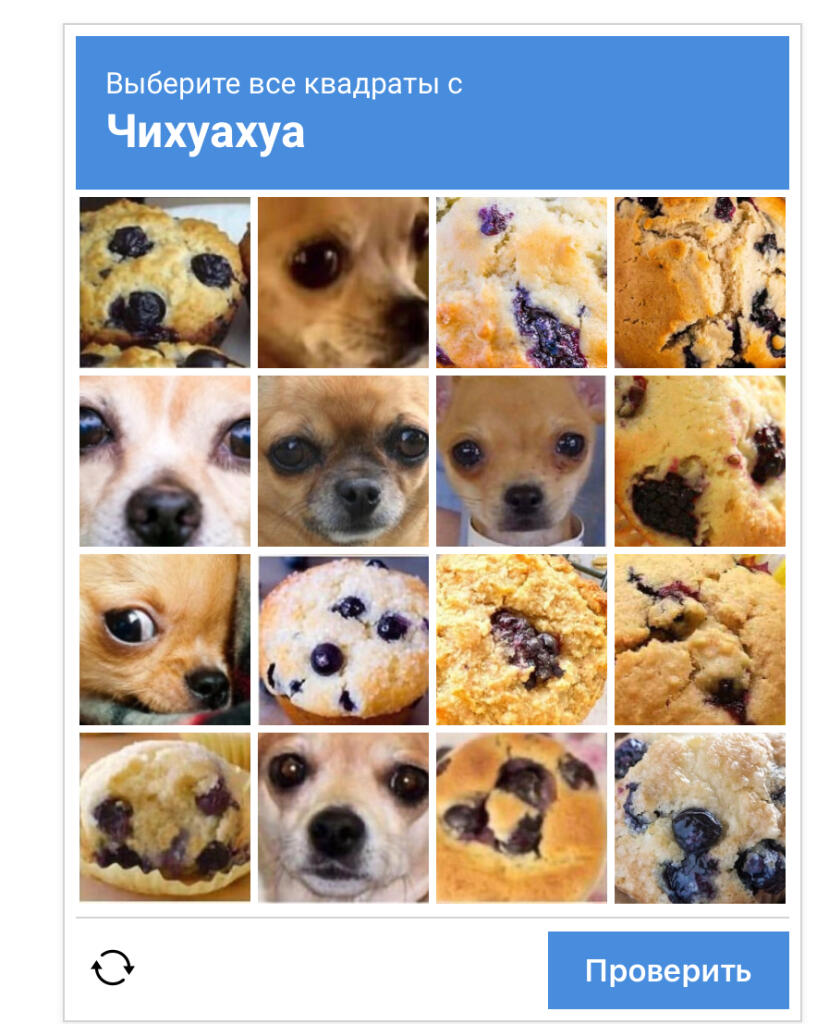 но здесь же везде чихуахуа…