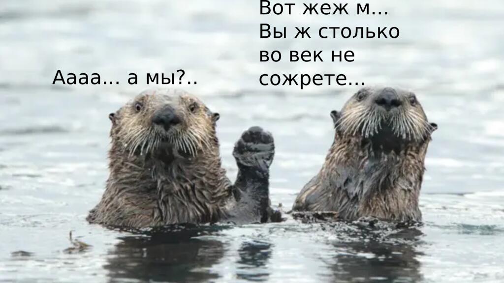 Когда у соседей летом жарят шашлык, а нам *что-то не очень то и хотелось*: