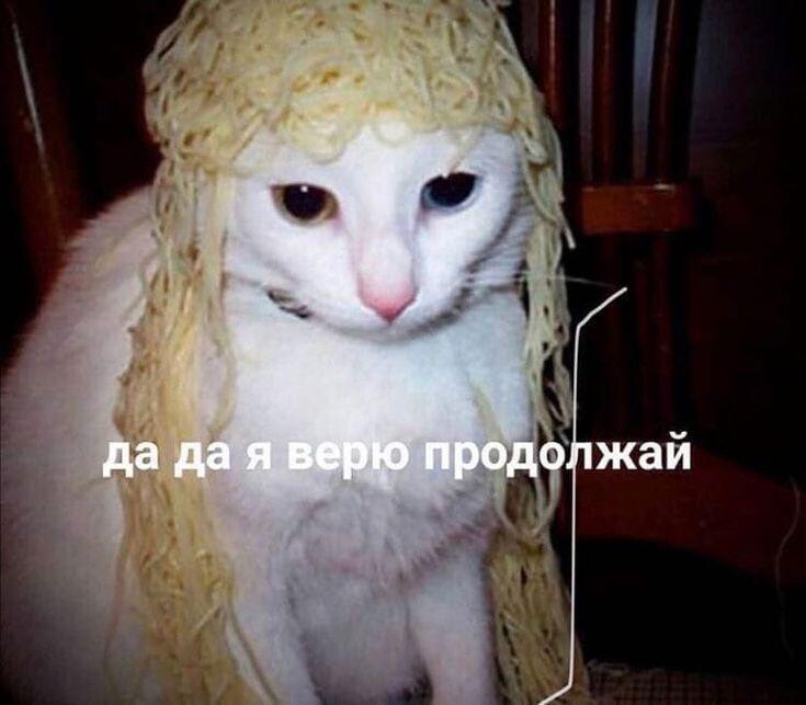 друг: рассказывает уже в 138 раз почему он снова "не может" вернуть мне сотку (с момента того как он мне её задолжал про