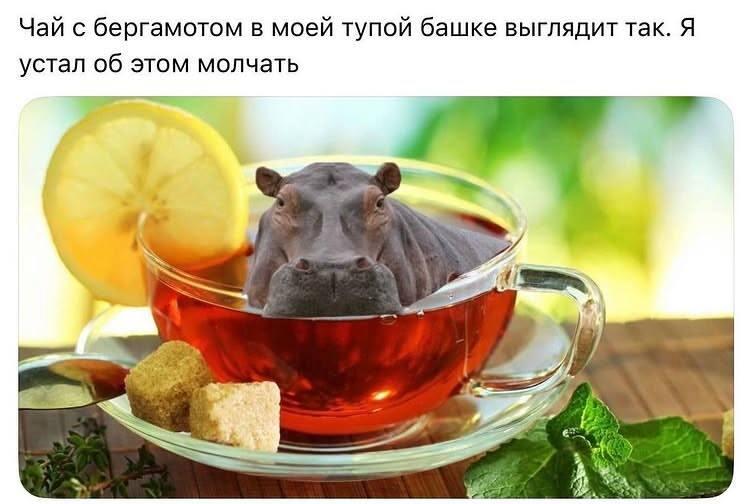 Мем без подписи