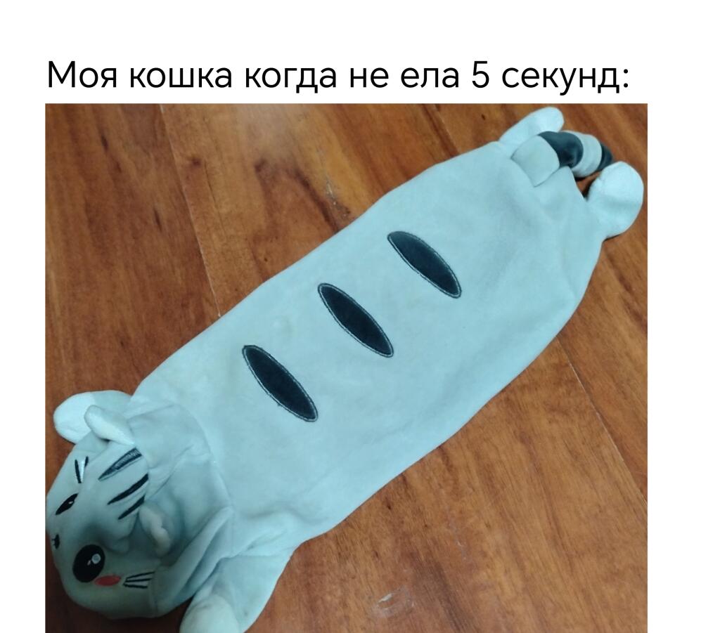 Мпр=мемы про котов