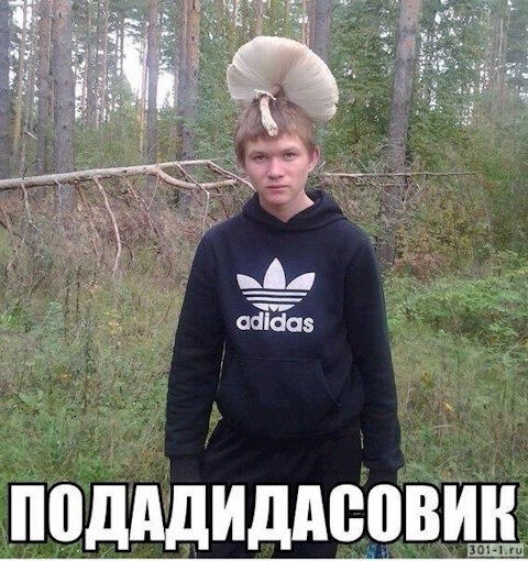 Подадидасовик