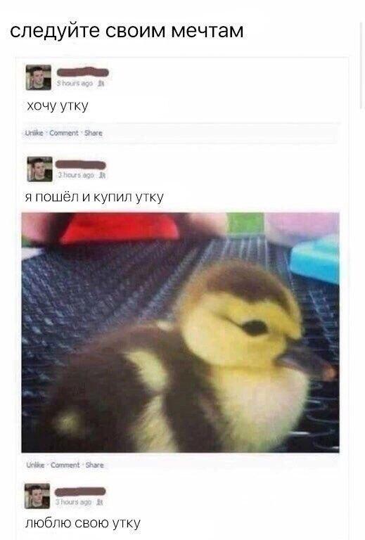 Мем без подписи
