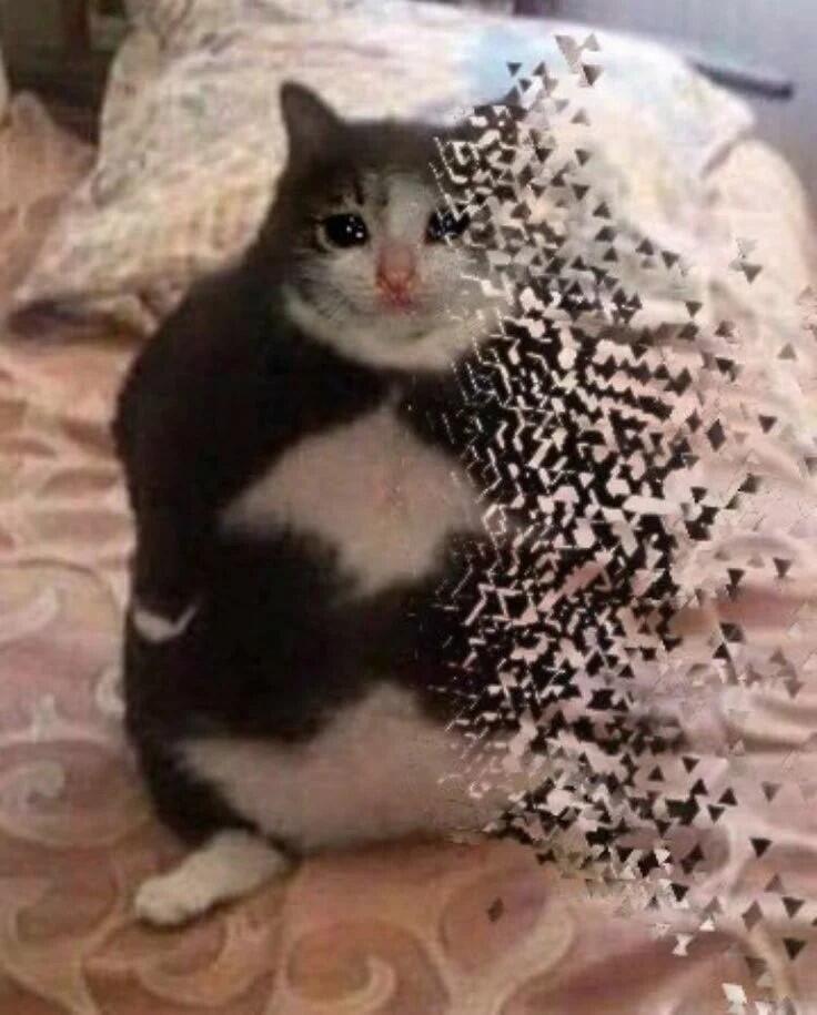Я: Не отвечаю на звонок мамы 2-ой раз
Как это видит мама: