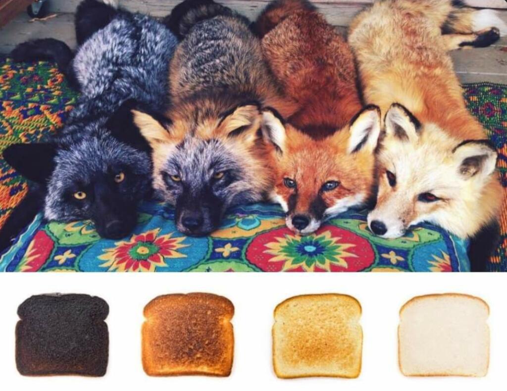 Хлебушки🦊