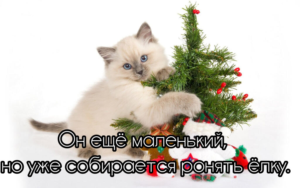 #Нгскоро