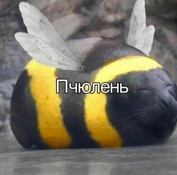 Ребят го распространим на столько что будет флаг мемозга такой