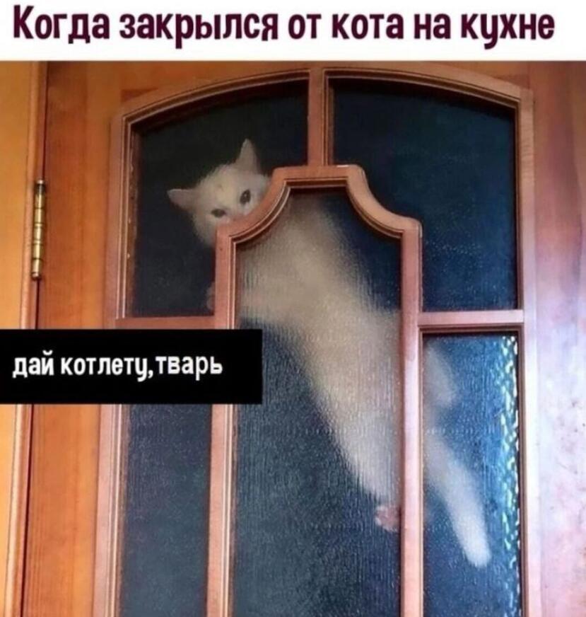 Мем от Mishutkaᐖ [ПЛМ]